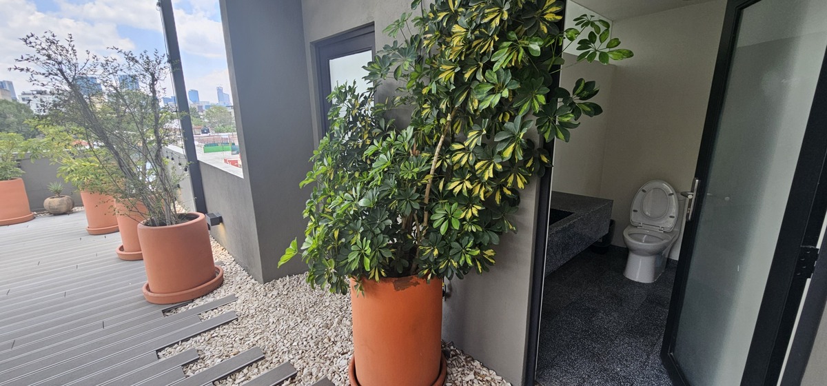 20 de 37