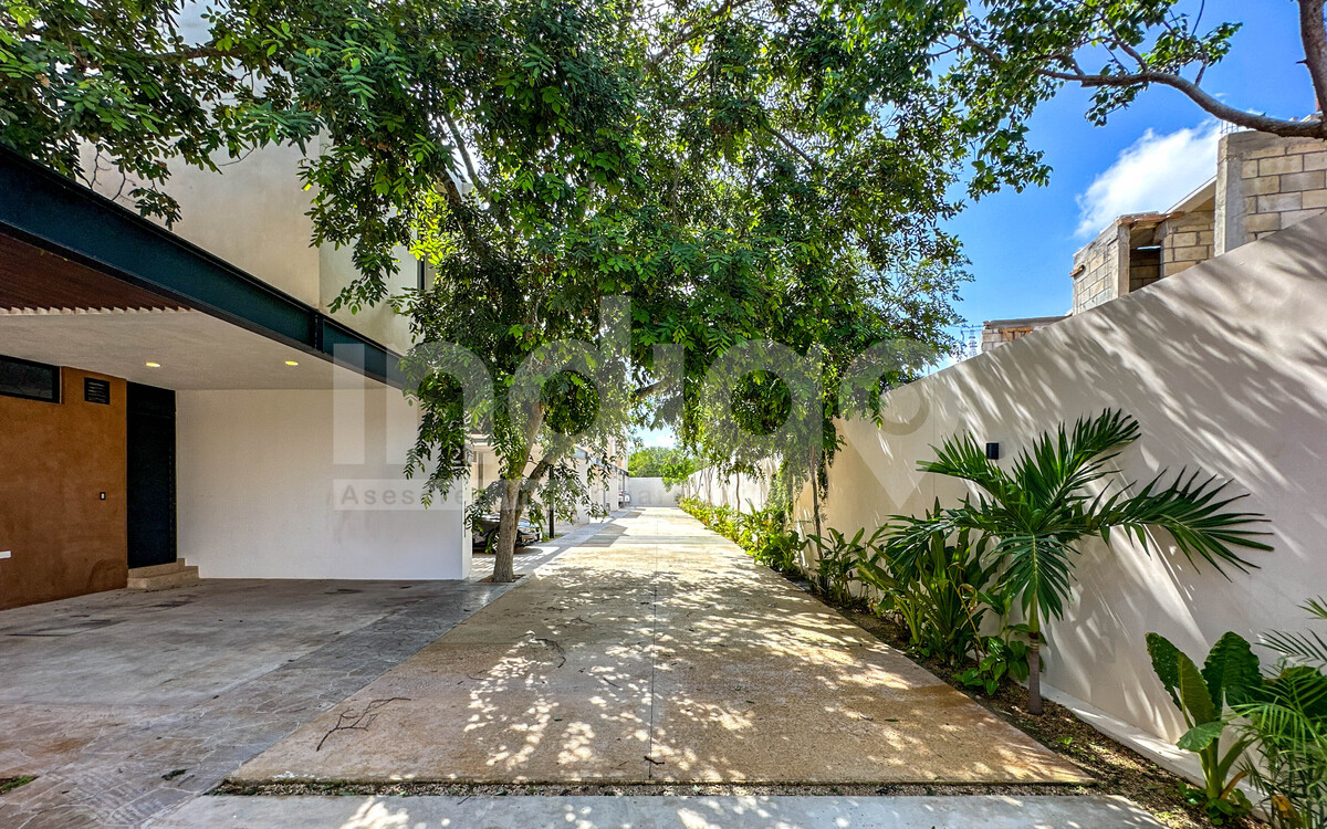 44 de 49: Vialidad Interior