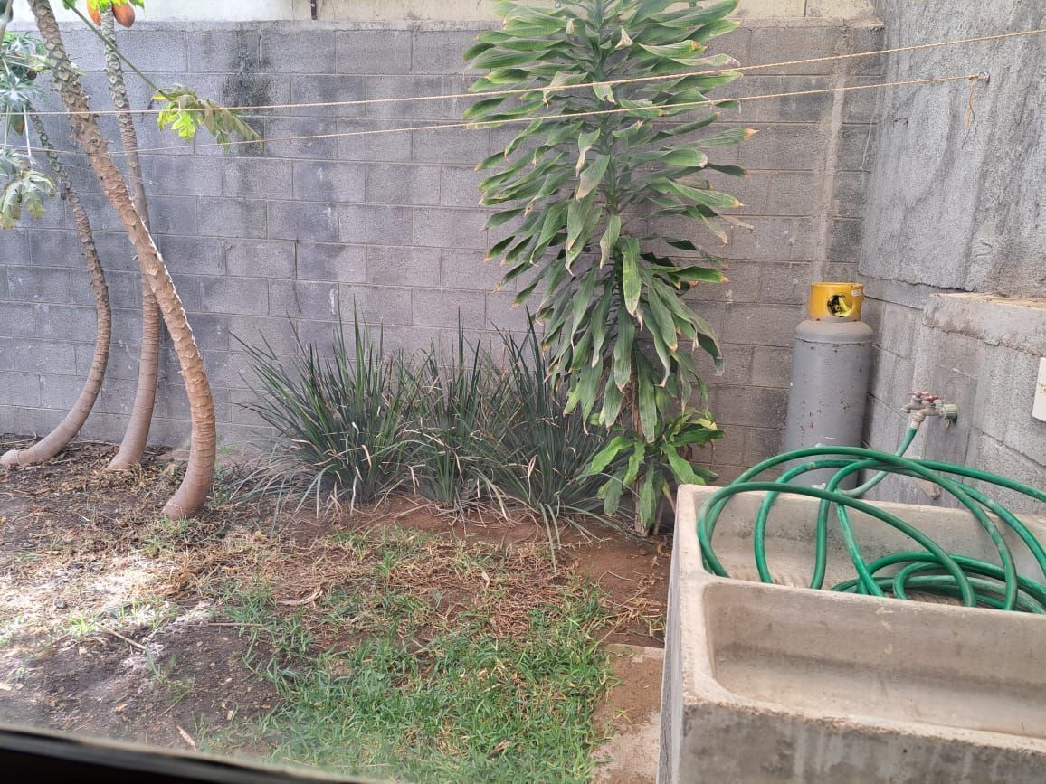 12 de 18