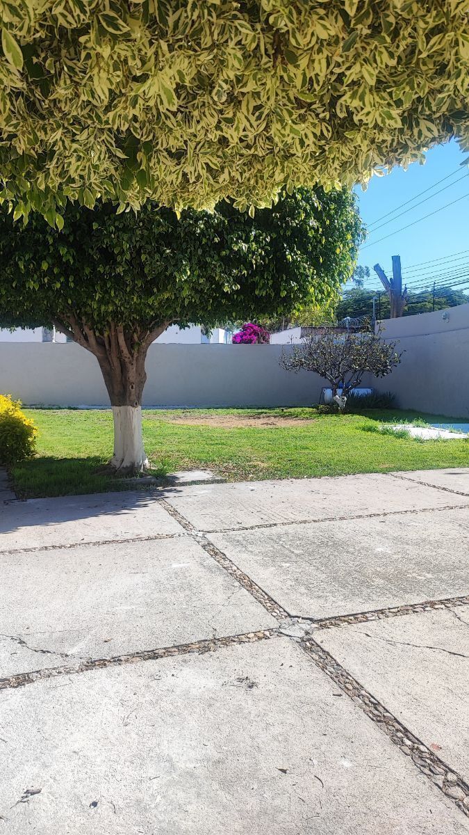 1 de 24