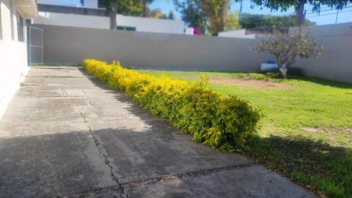 3 de 24