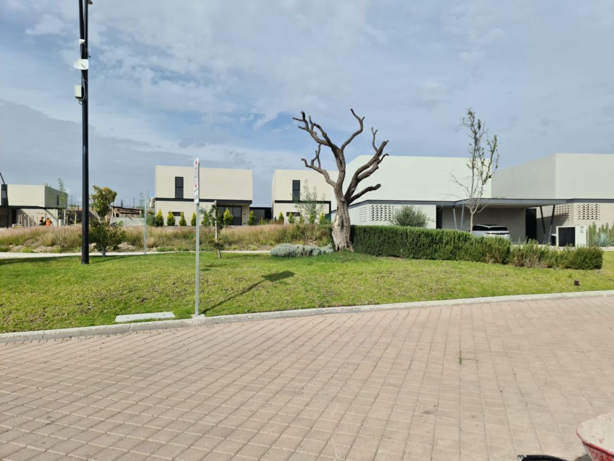 3 de 26