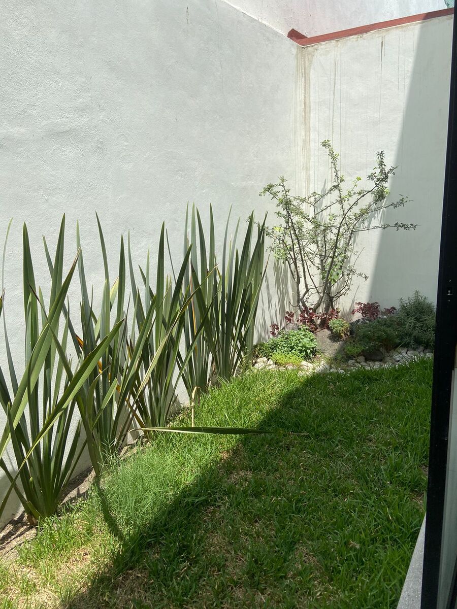 4 de 18