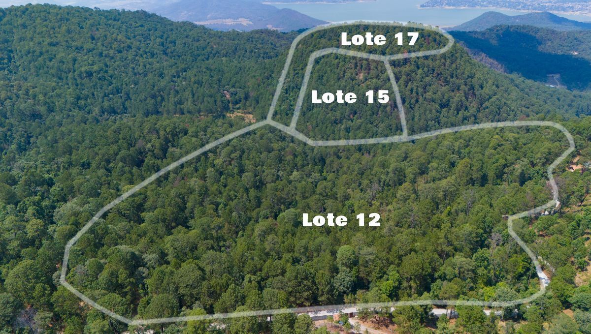 Terreno en Venta en Valle de Bravo, Terreno Rancho de Paso Hondo LOTE 12 - foto 2