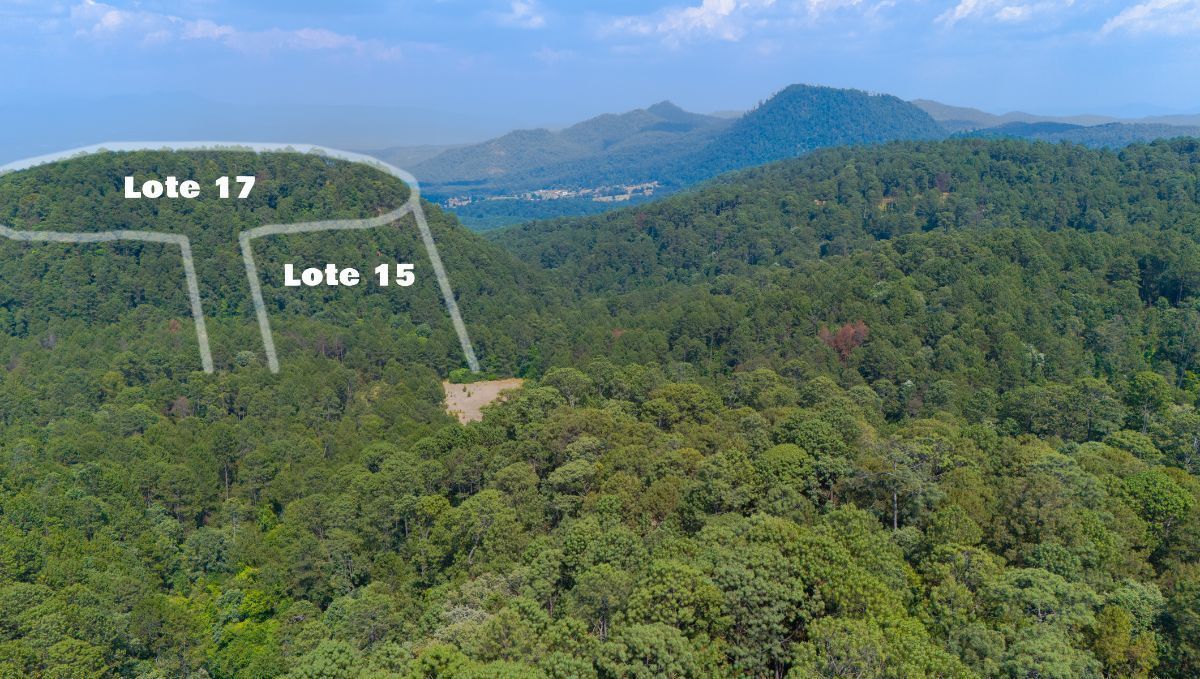 Terreno en Venta en Valle de Bravo, Terreno Rancho de Paso Hondo LOTE 15 - foto 2