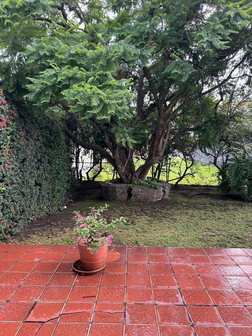 34 de 34