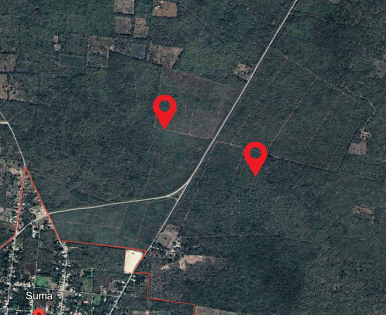 TERRENO EN VENTA FRENTE A CARRETERA EN SUMA YUCATAN. - foto 2