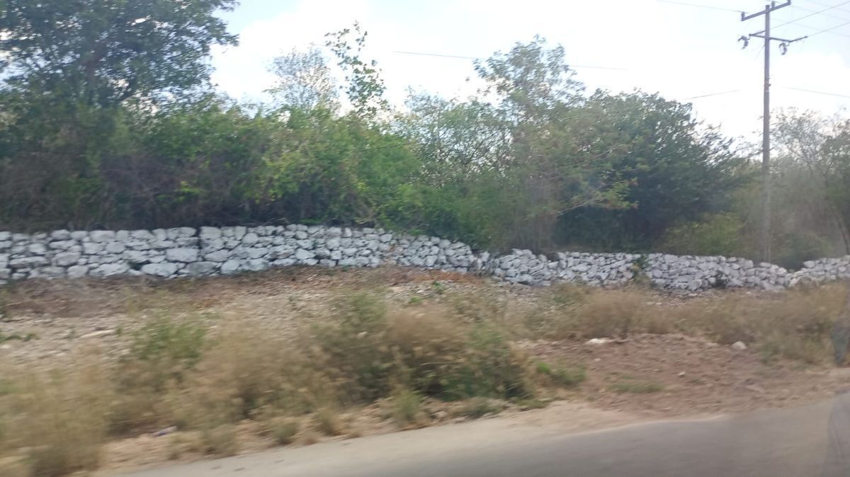 TERRENO EN VENTA FRENTE A CARRETERA EN SUMA YUCATAN. - foto 3