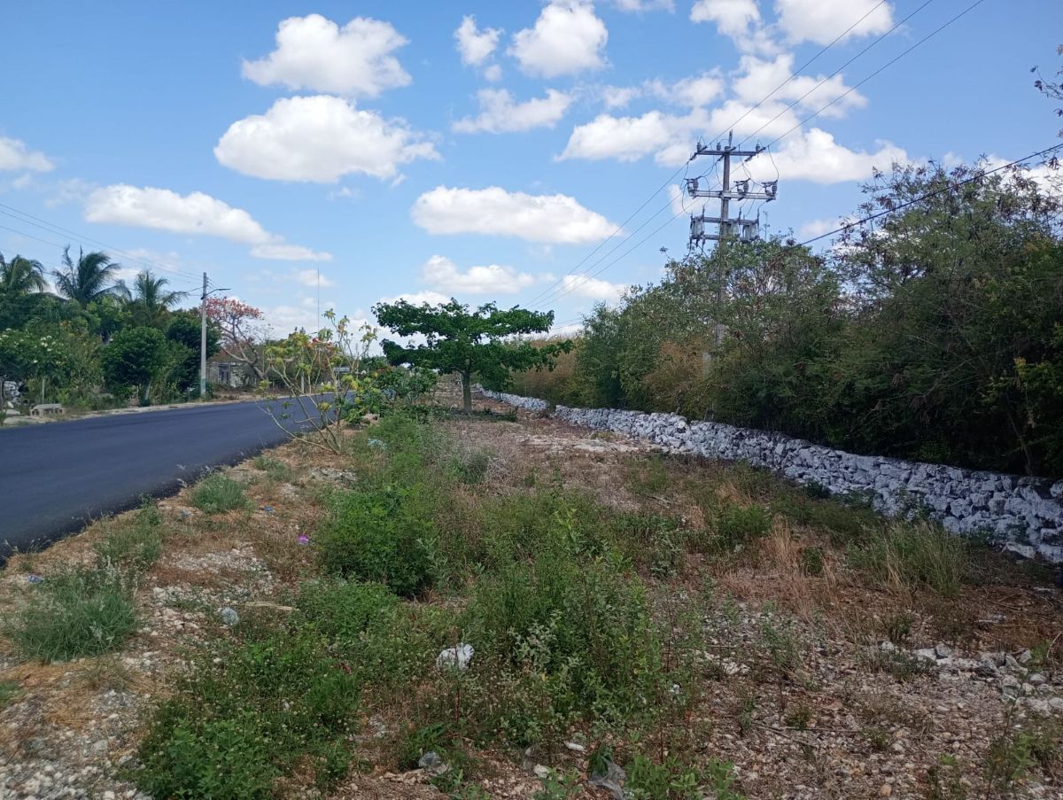 TERRENO EN VENTA FRENTE A CARRETERA EN SUMA YUCATAN. - foto 1