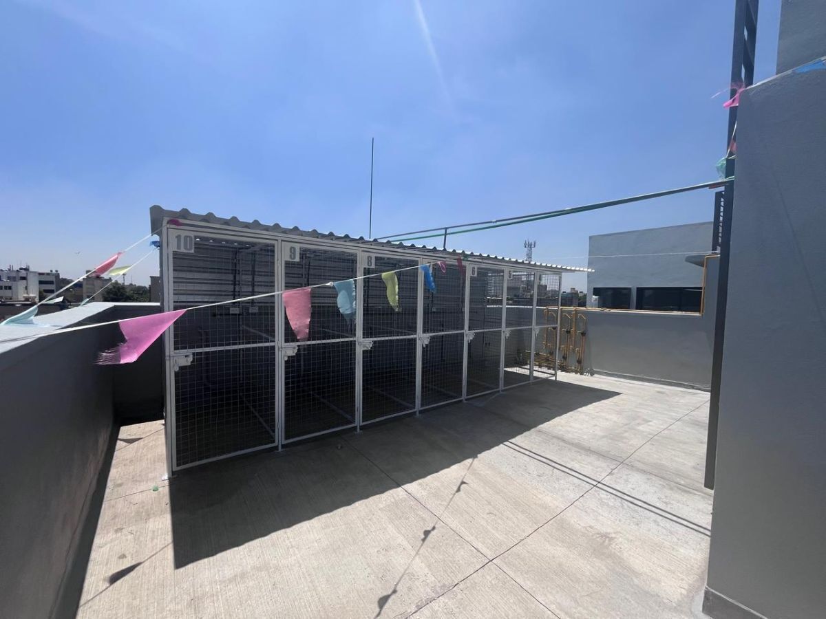 17 of 21: Azotea con jaula de tendido y área de lavado