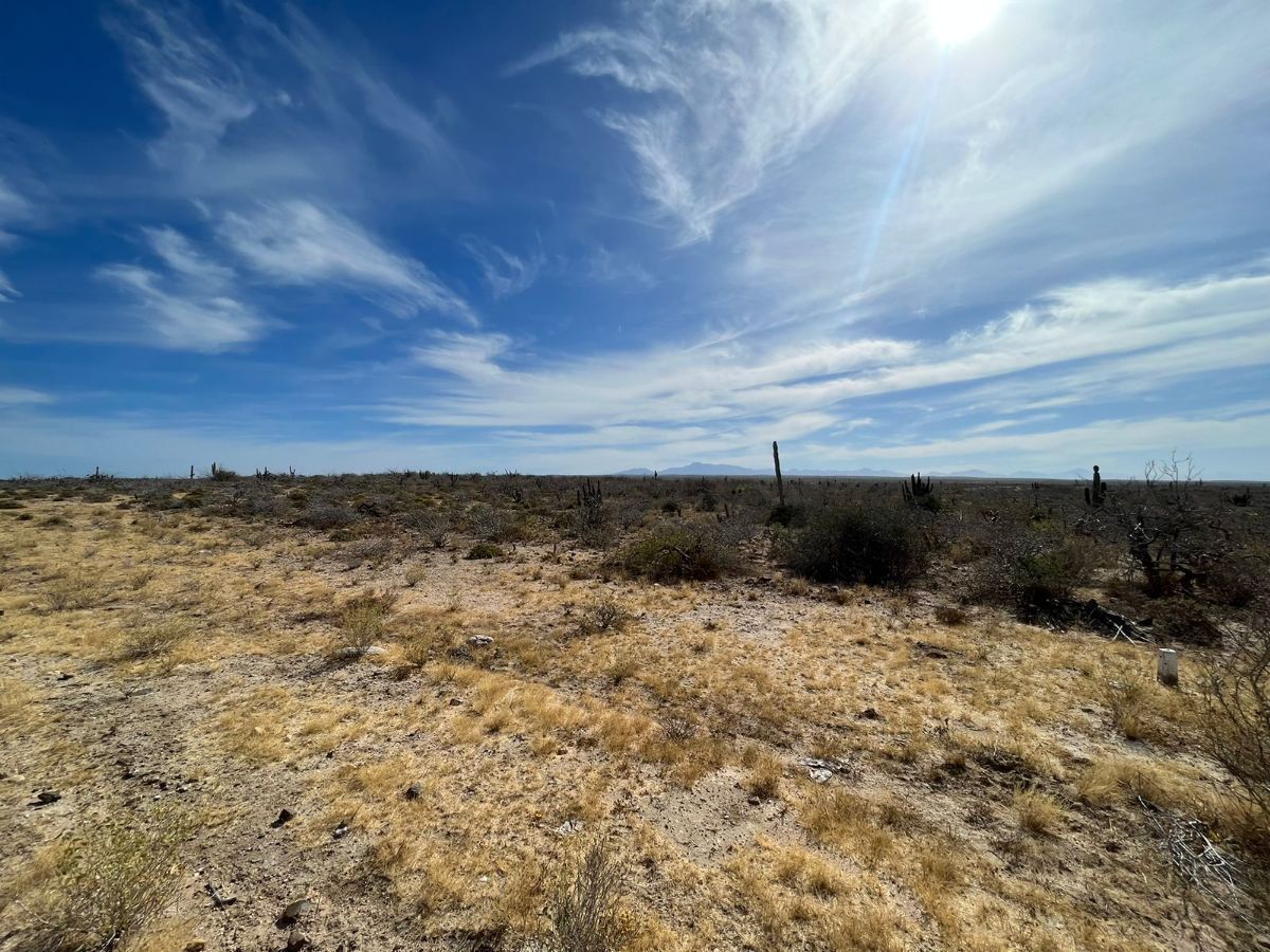 LAND FOR SALE IN TODOS SANTOS AGUA BLANCA - foto 1