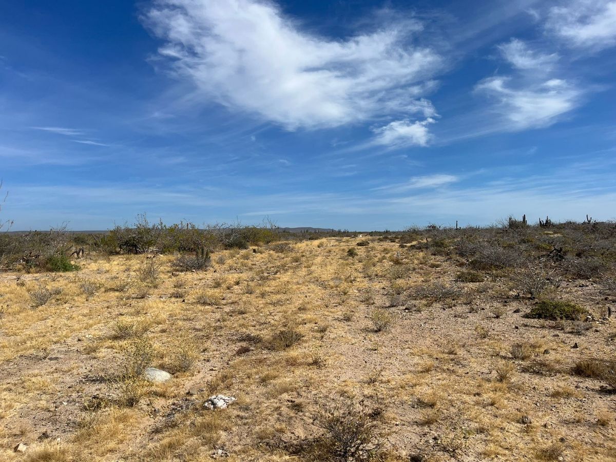LAND FOR SALE IN TODOS SANTOS AGUA BLANCA - foto 2