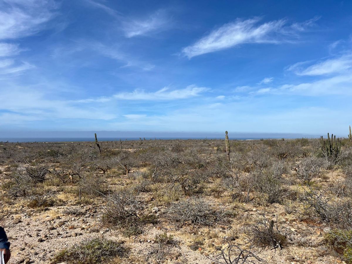 LAND FOR SALE IN TODOS SANTOS AGUA BLANCA - foto 3