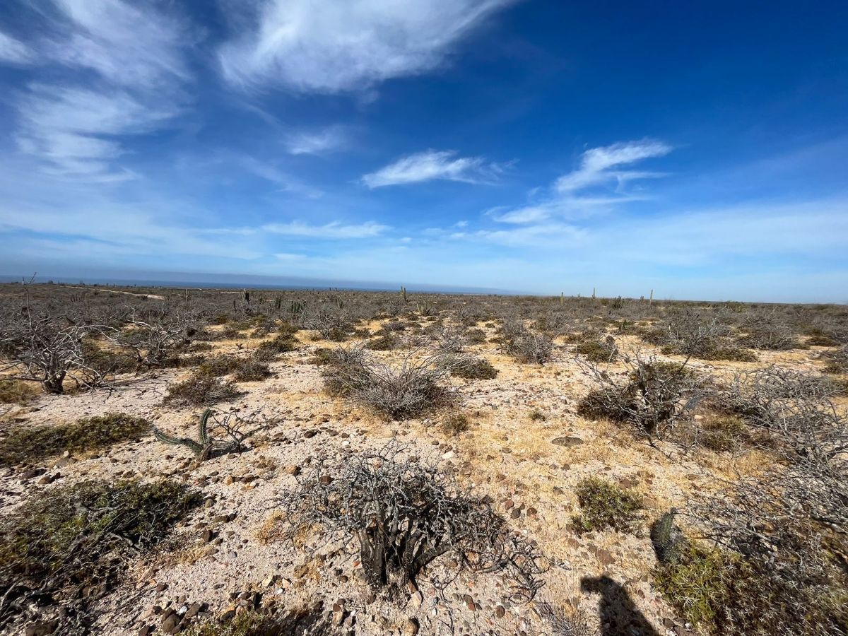 LAND FOR SALE IN TODOS SANTOS AGUA BLANCA - foto 5