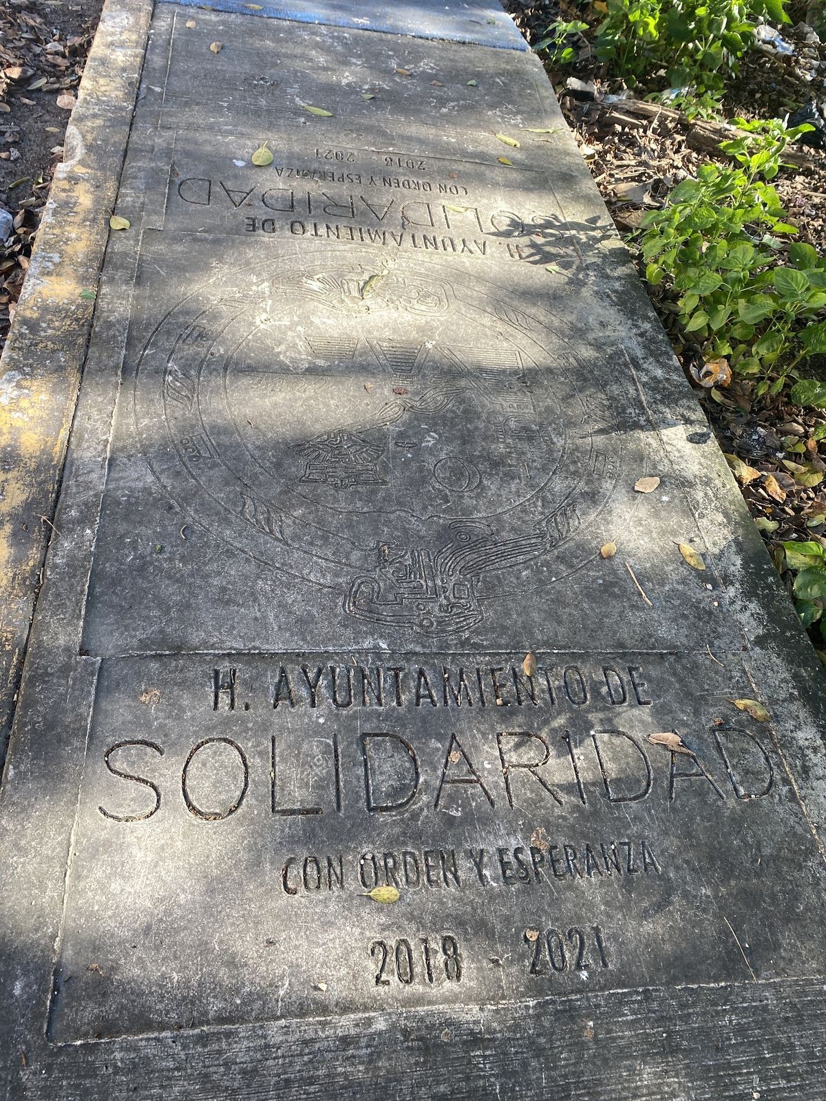 7 de 10: Todos los servicios disponibles