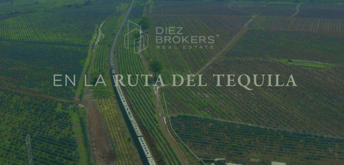 Terreno en los Encinos , Tequila Jalisco - foto 3