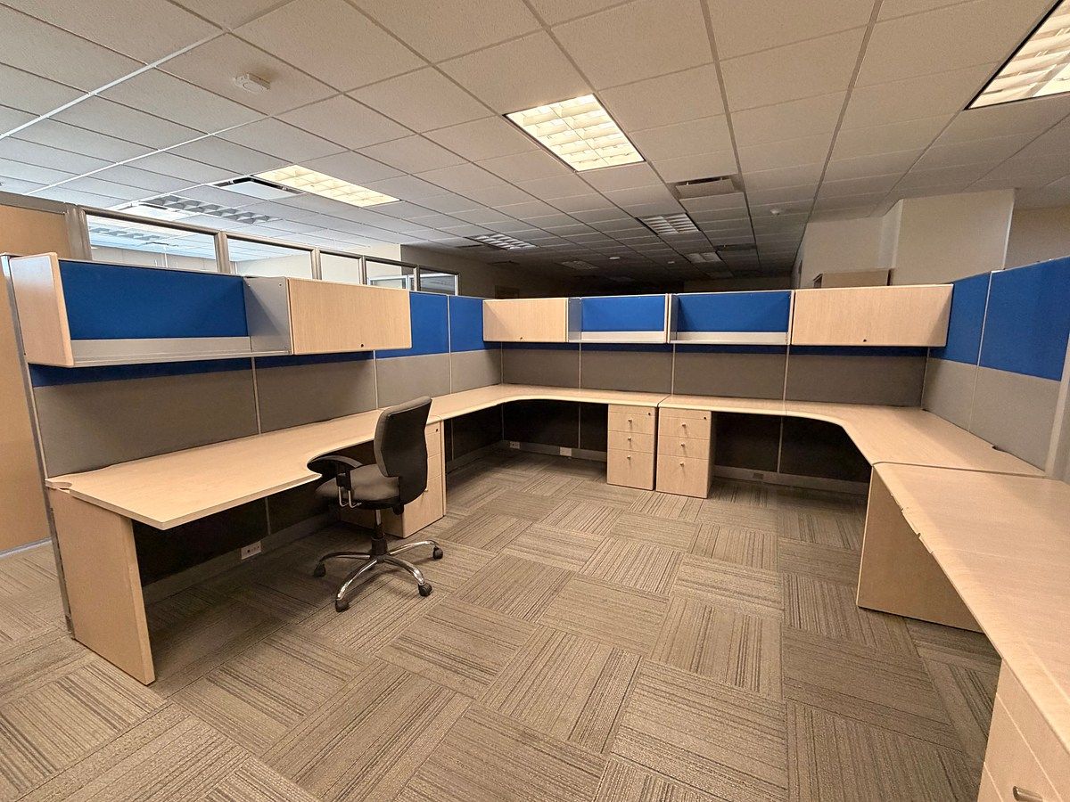 Office rental in Valle del Campestre, photo 1 of 13