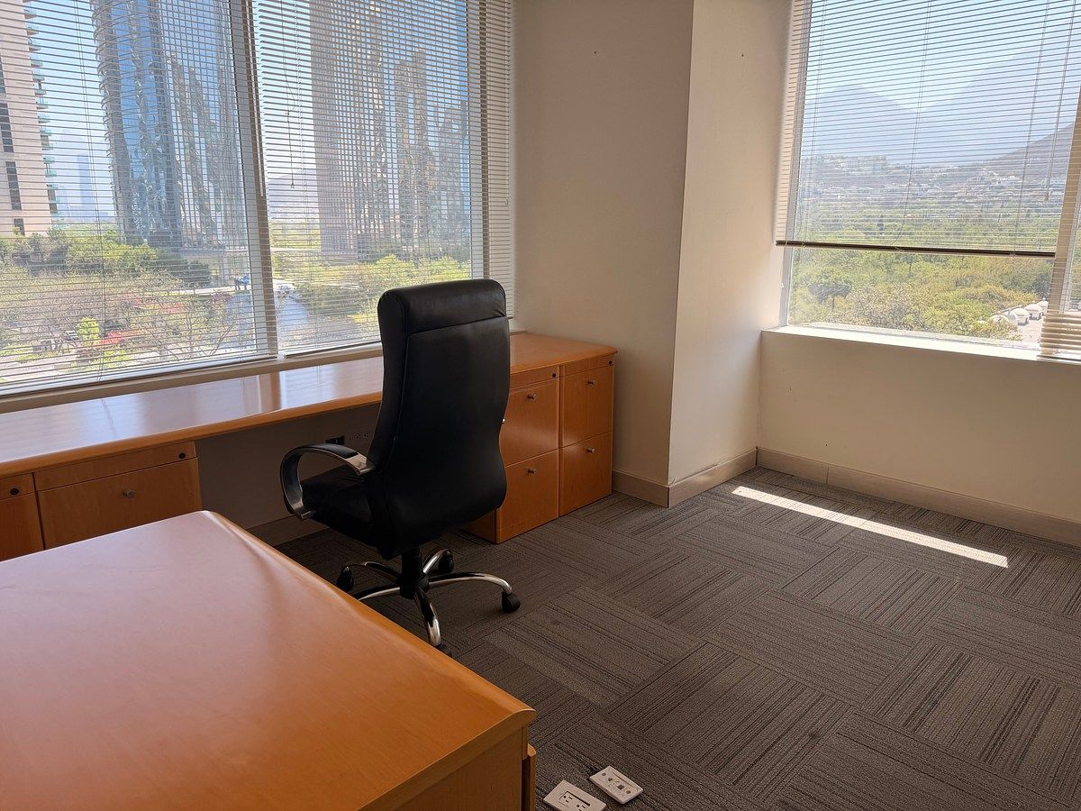 Office in Valle Del Campestre, San Pedro Garza García, photo 9 of 13