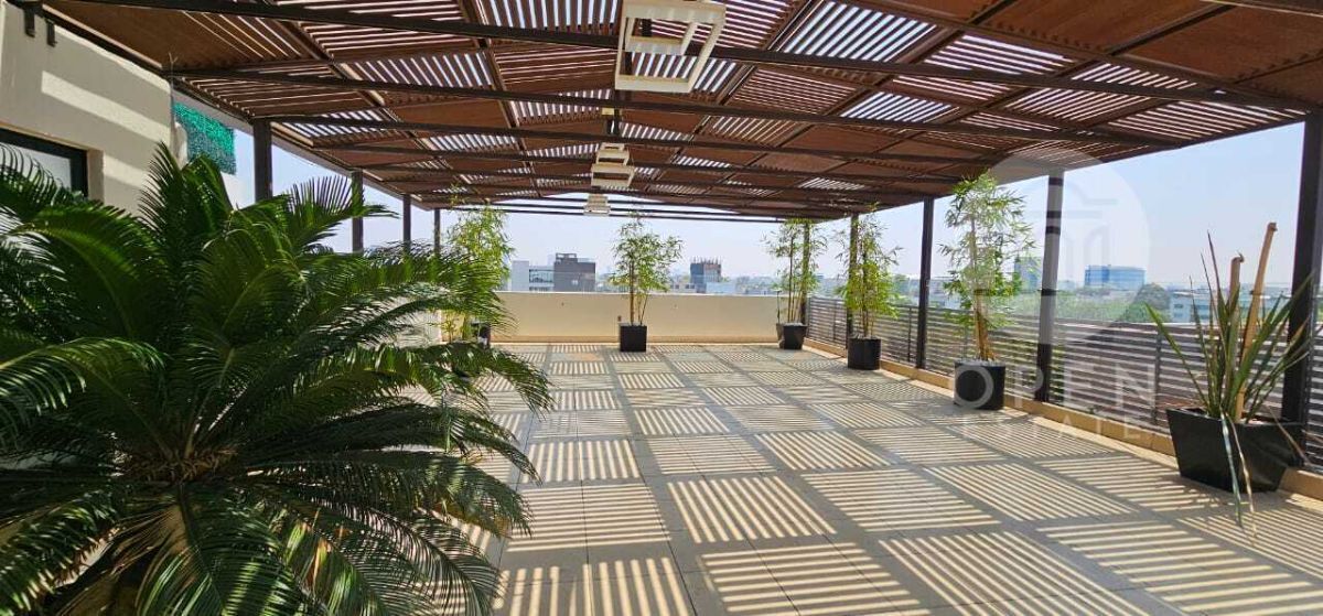 1 de 42: Espectacular Roof Garden