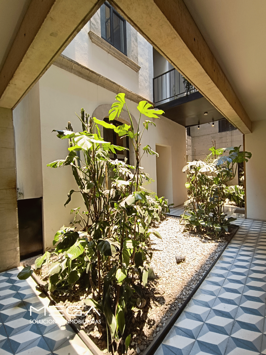 41 de 43: Área verde del edificio