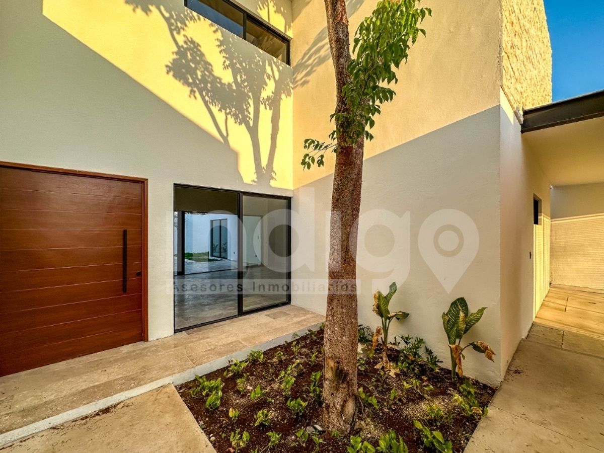 4 of 41: Jardín Interior