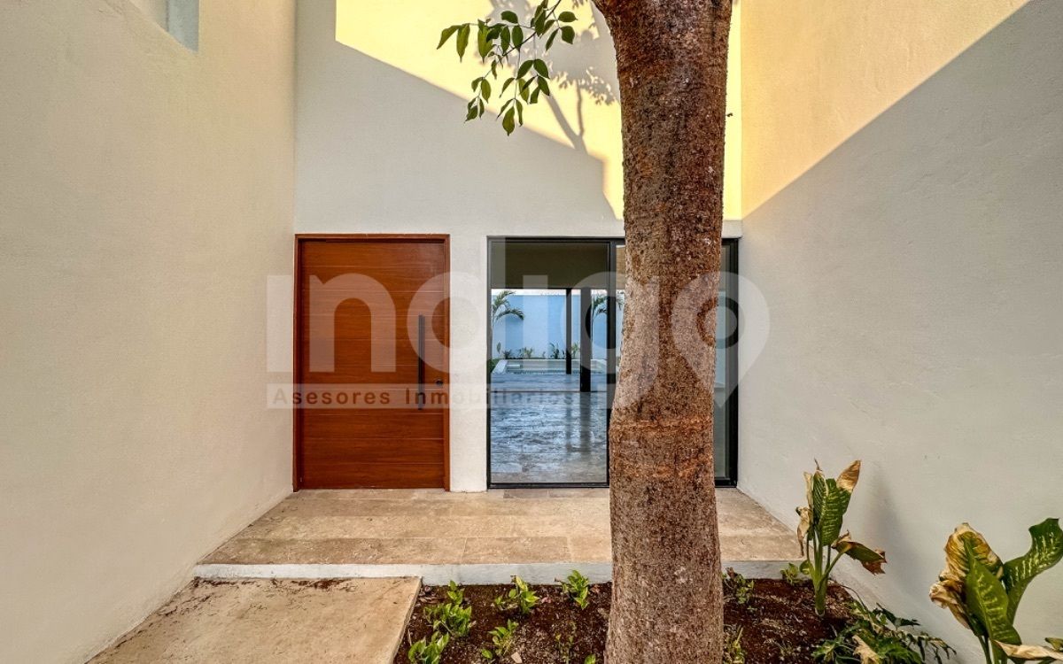 5 of 41: Jardín Interior