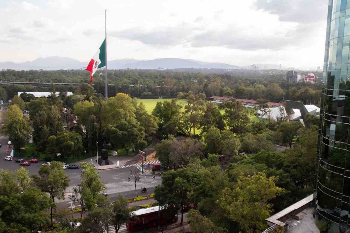 17 de 17