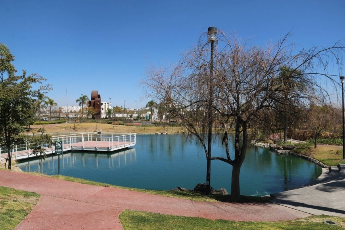 12 de 16: Amenidades