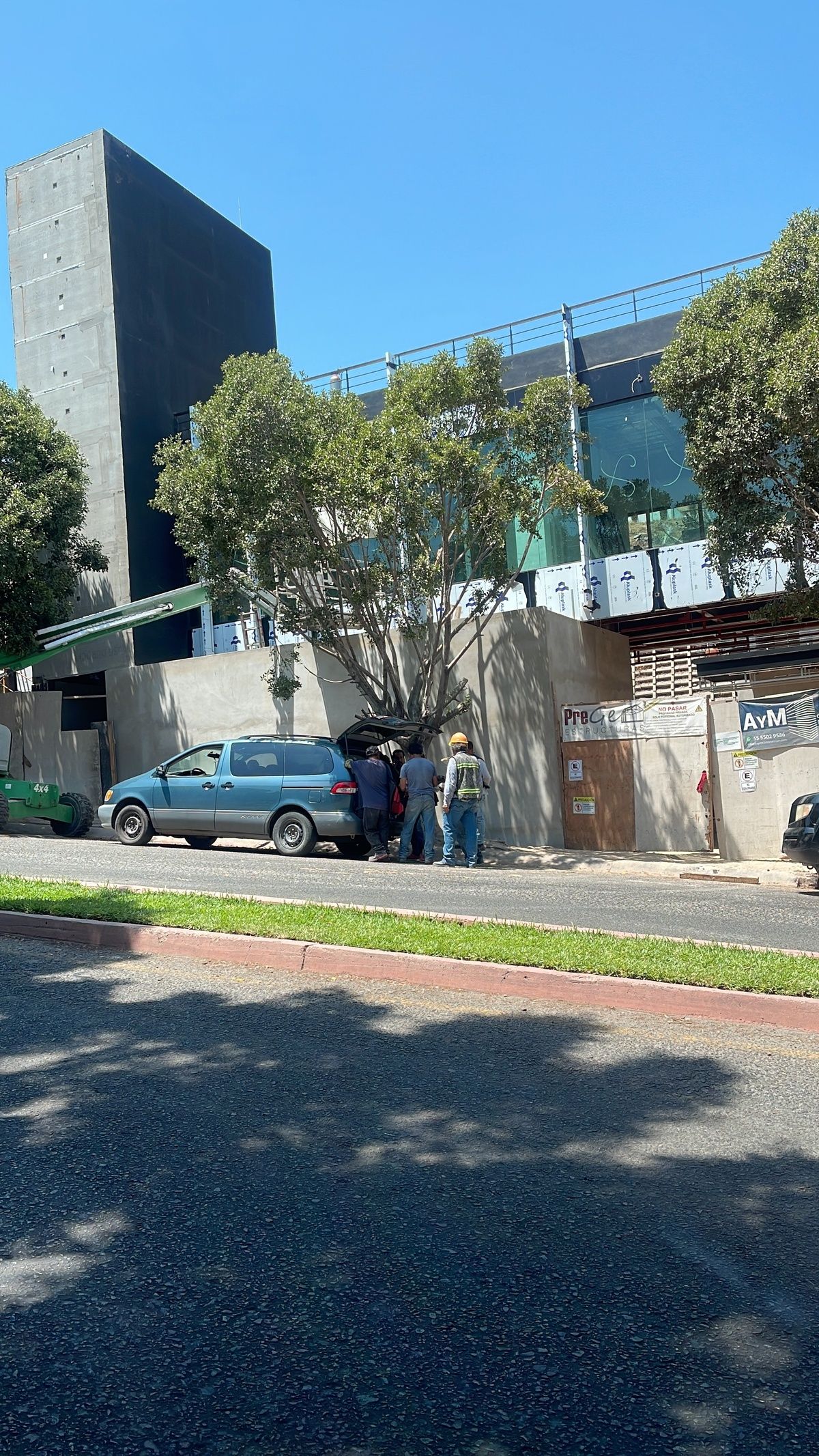 11 de 12