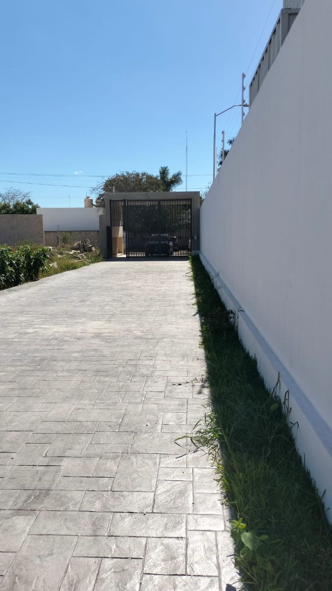 3 de 25