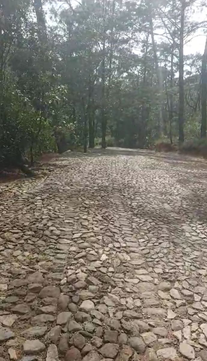 2 of 7