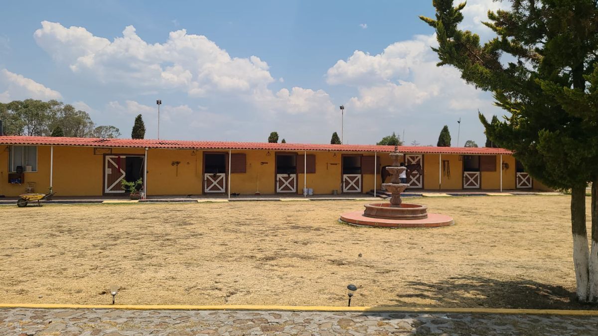 7 de 46