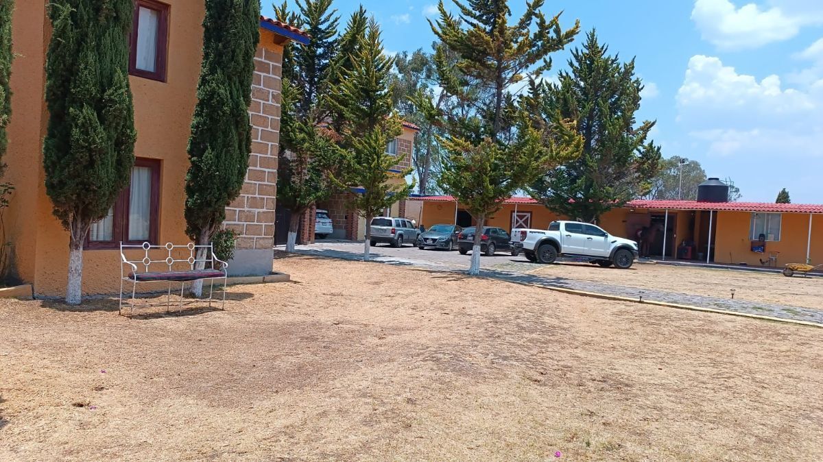 13 de 46