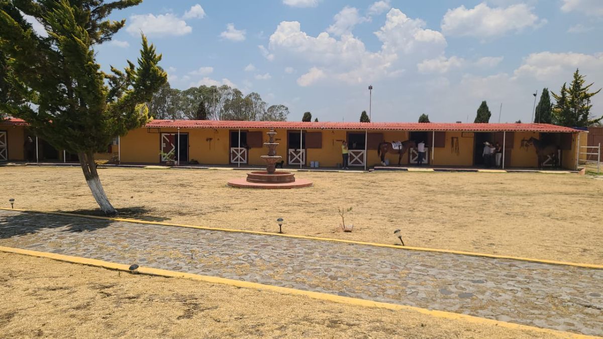 17 de 46