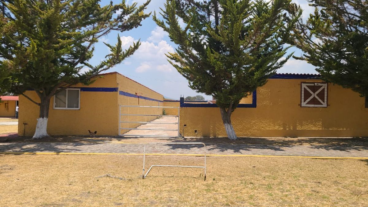 36 de 46