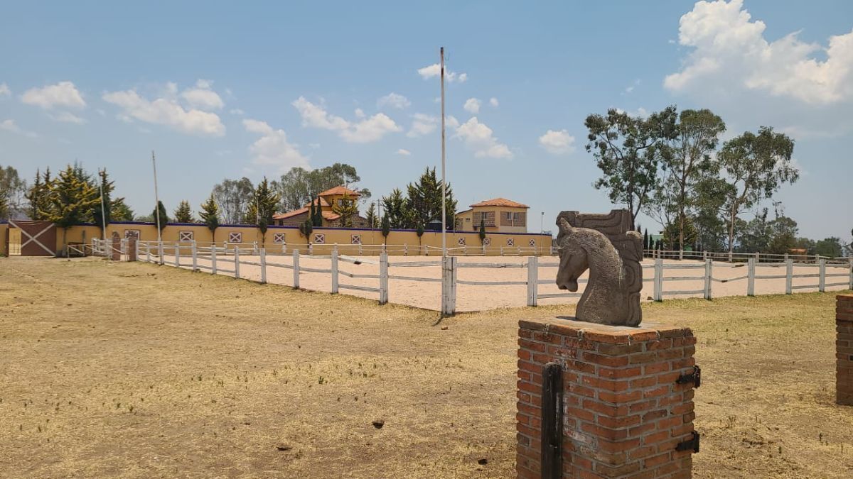 38 de 46