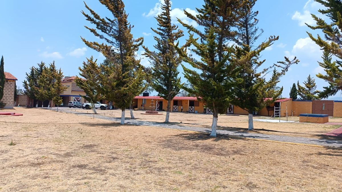 42 de 46