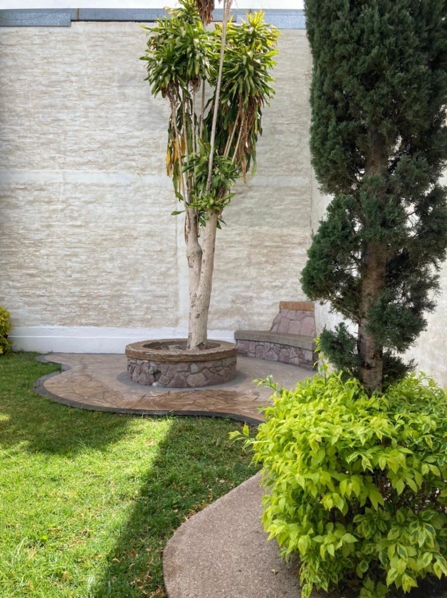 Retail Space in Las Cumbres, Aguascalientes, photo 12 of 17