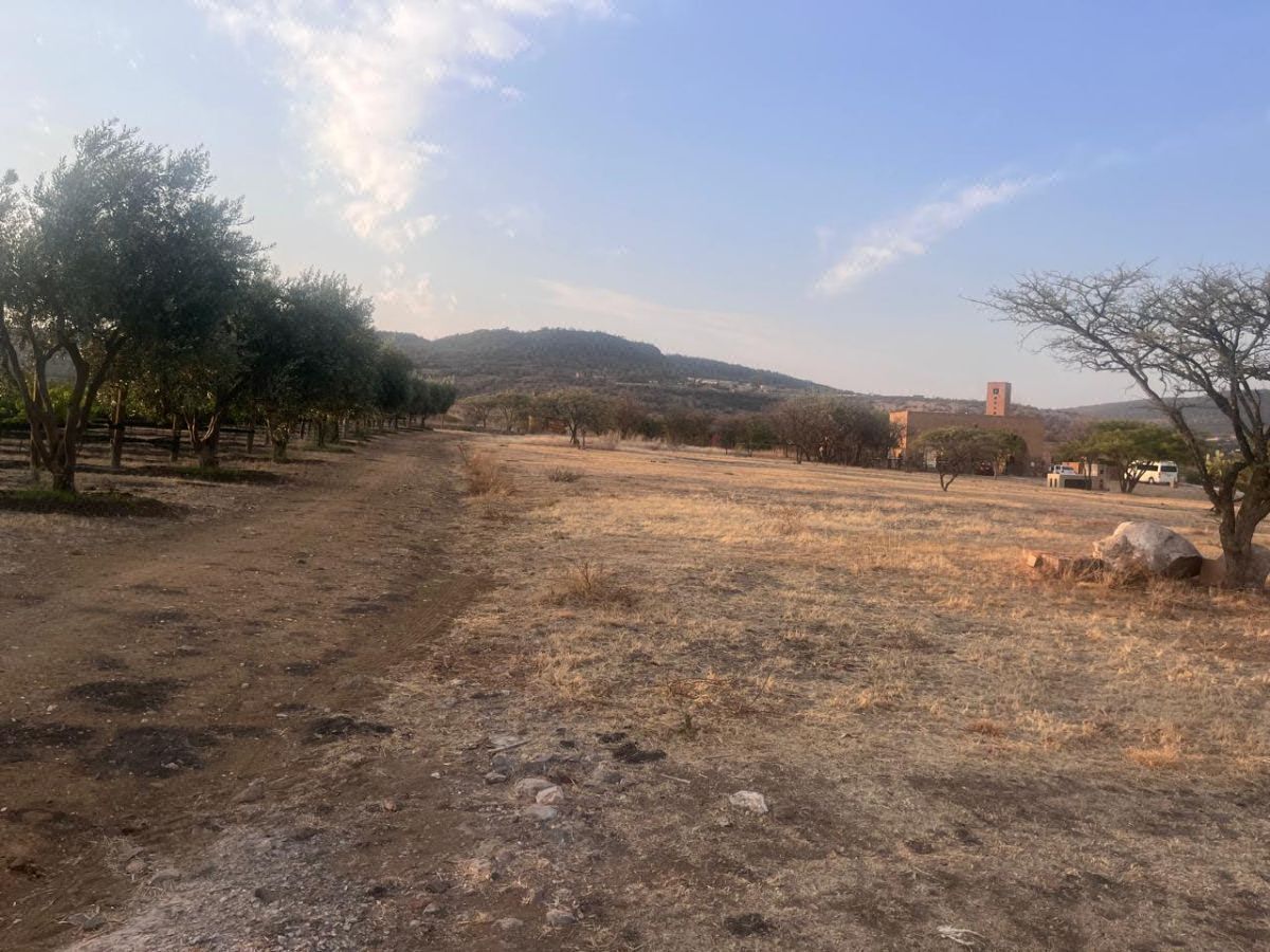 Discover Paradise at Viñedos San Miguel! Luxury Land. GCP