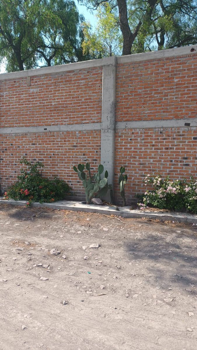 2 de 8