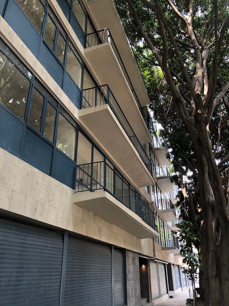 Departamento en Del Valle Norte, Benito Juárez, foto 6 de 19