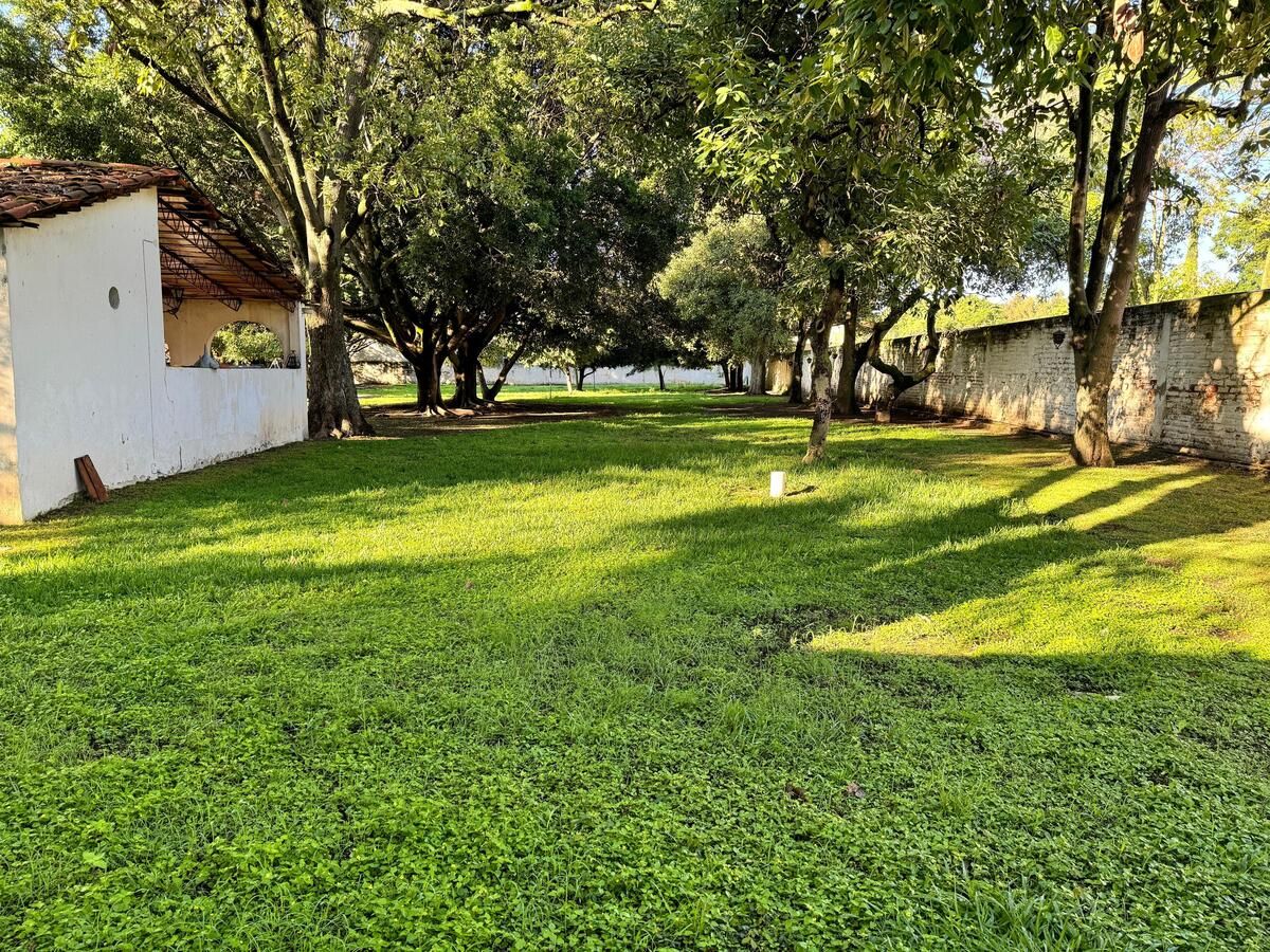 https://assets.easybroker.com/property_images/4517043/78178147/EB-QI7043.jpg?version=1722354395