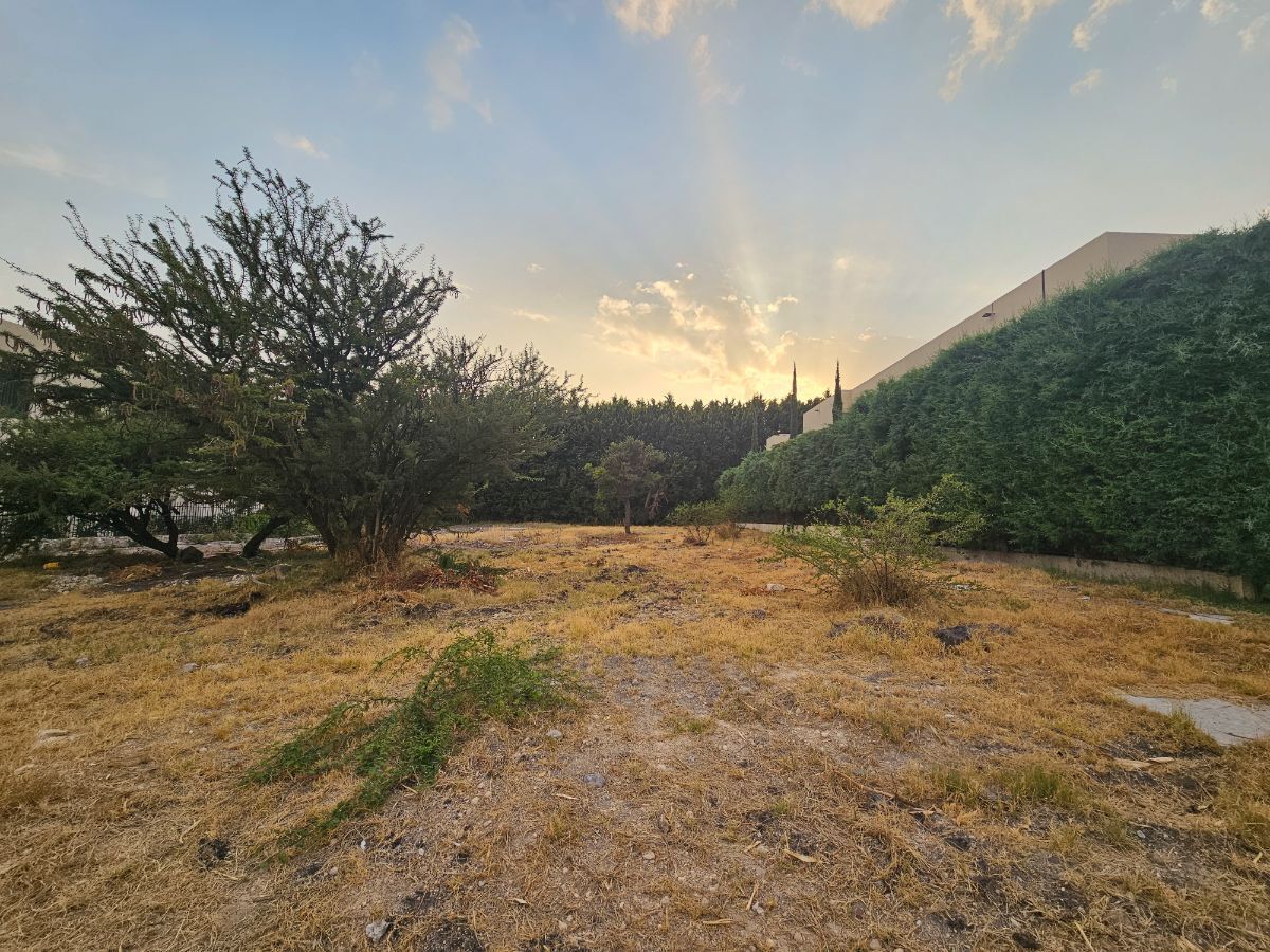 https://assets.easybroker.com/property_images/4517965/75718107/EB-QI7965.jpg?version=1717095693