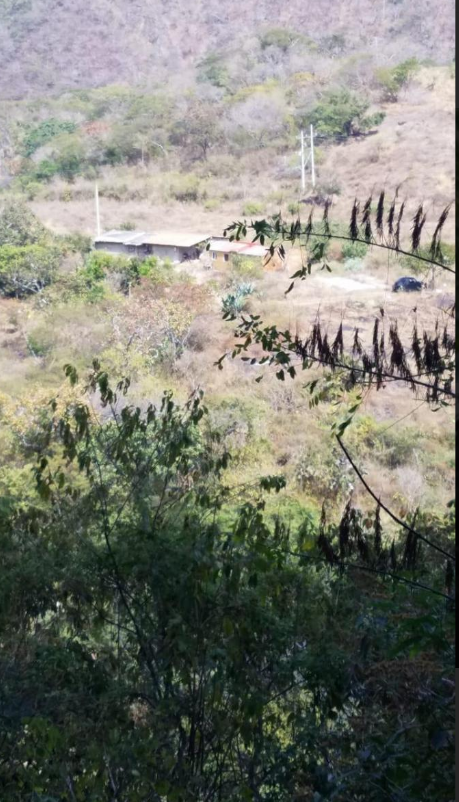 3 de 8