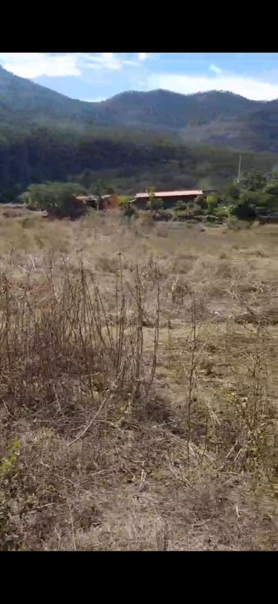 2 de 8