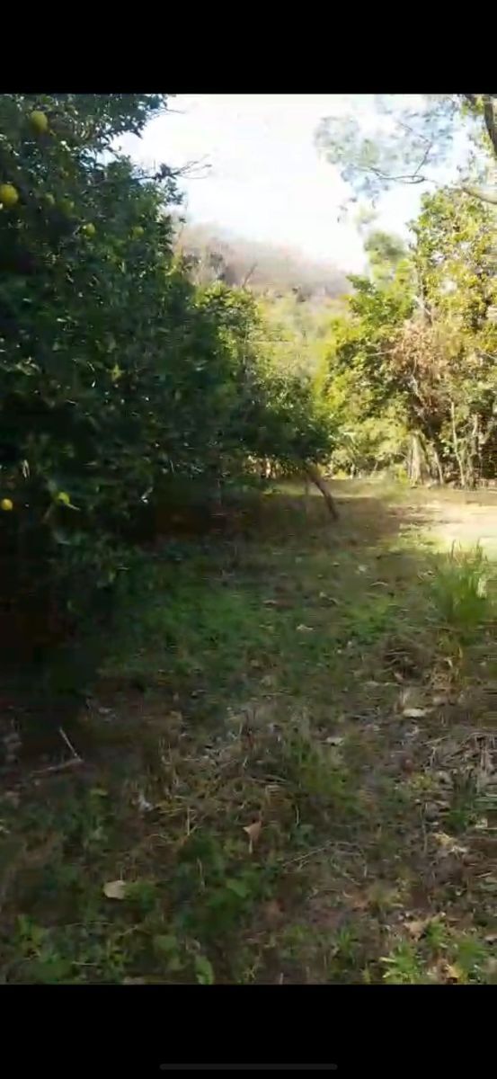 5 de 8