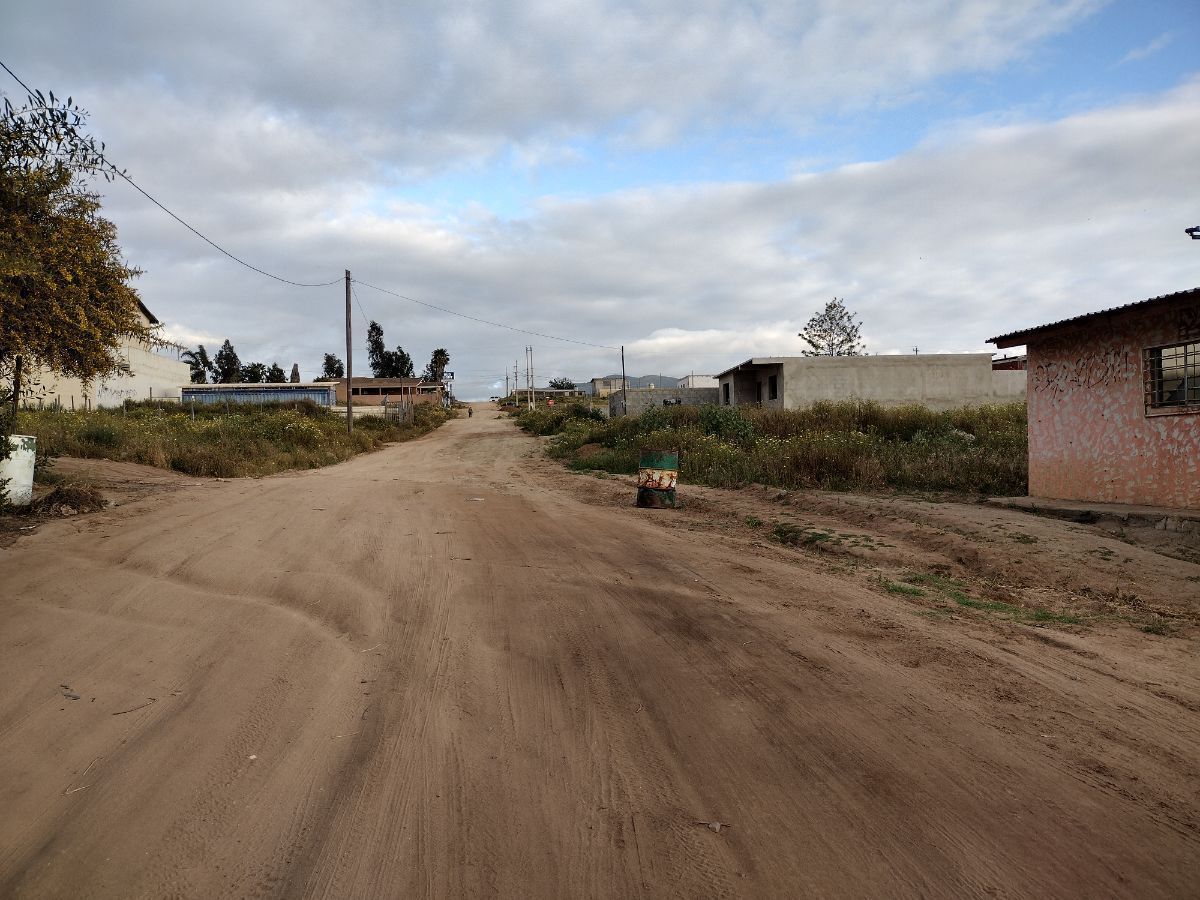 Imagen 3 de 6