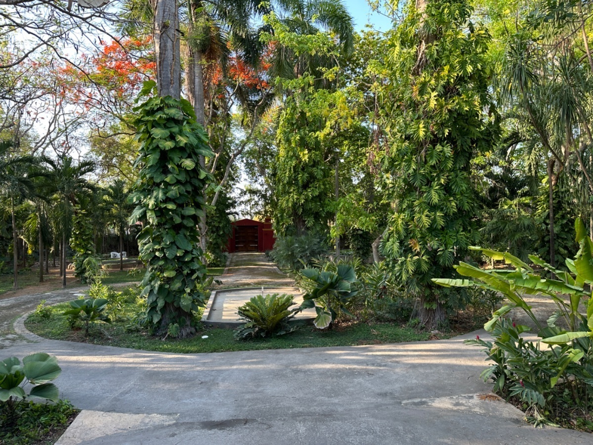 11 de 21