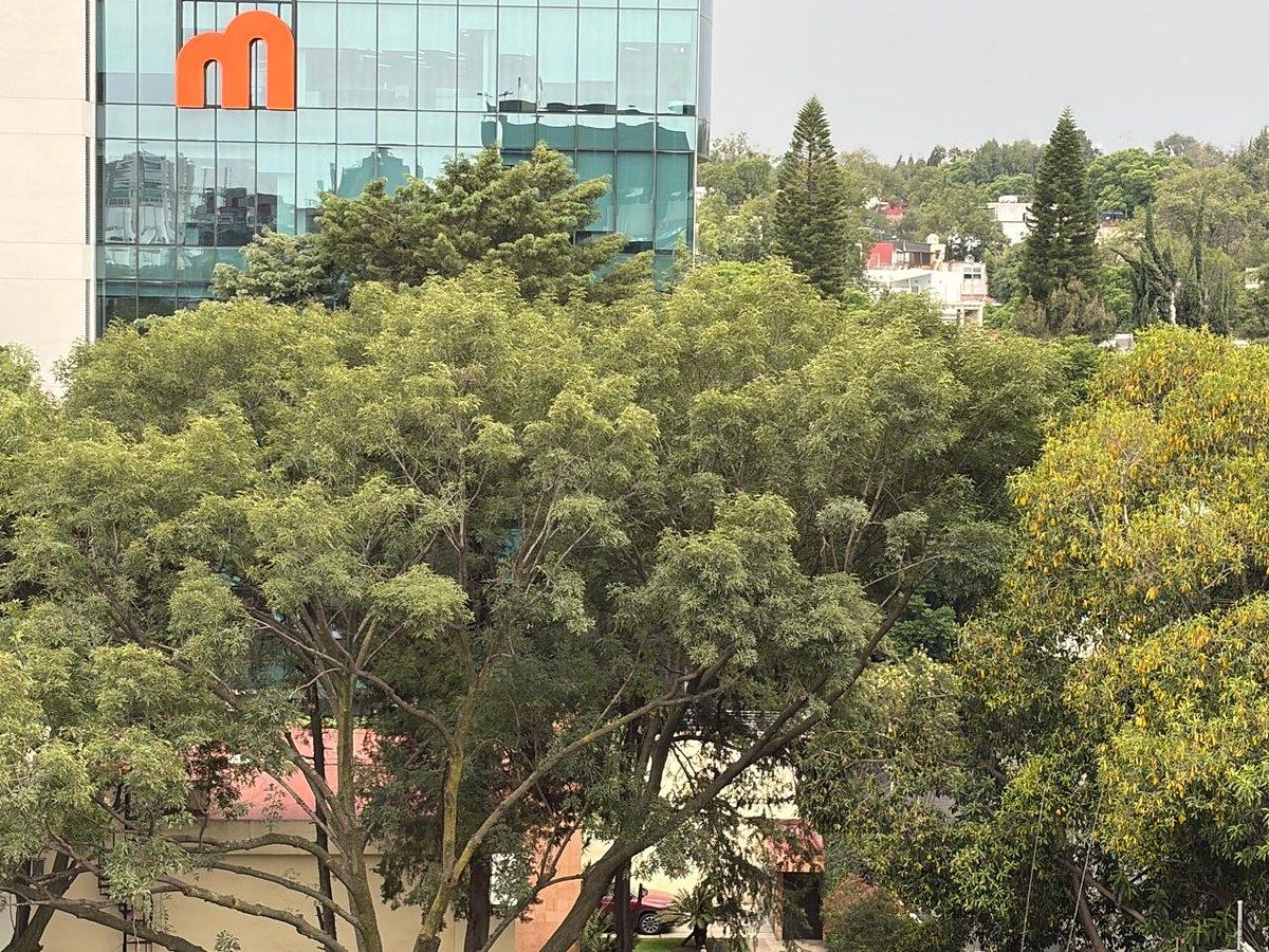 Apartamento em Lomas de Chapultepec I Sección, Miguel Hidalgo, foto 25 de 34