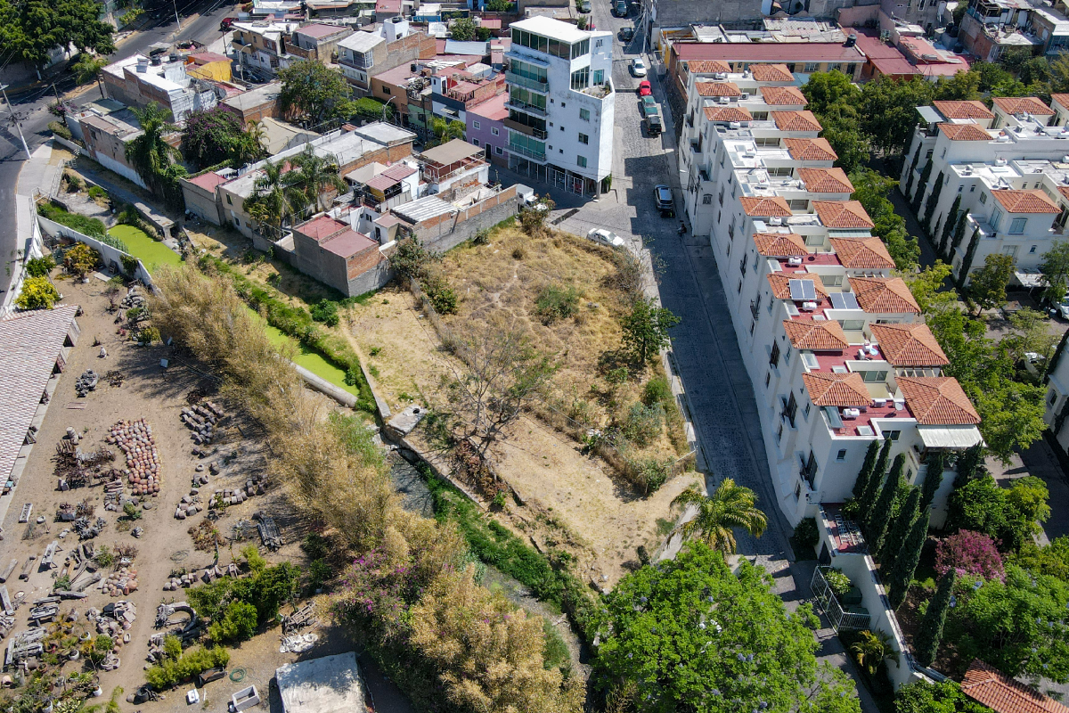 6 de 15